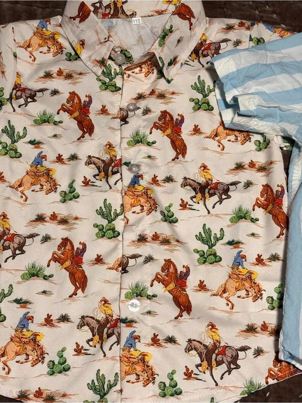 Carter’s toddler boy clothing bundle lot